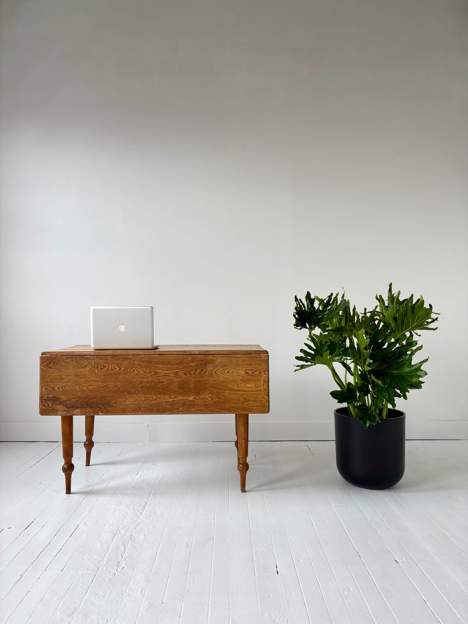 Do you have a Special Project? Then book an appointment at our Plant Studio!